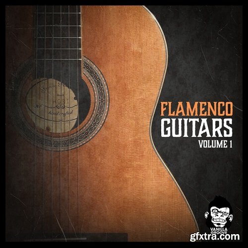 Vanilla Groove Studios Flamenco Guitars Vol 1 WAV