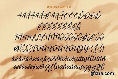 Acronits Script Font