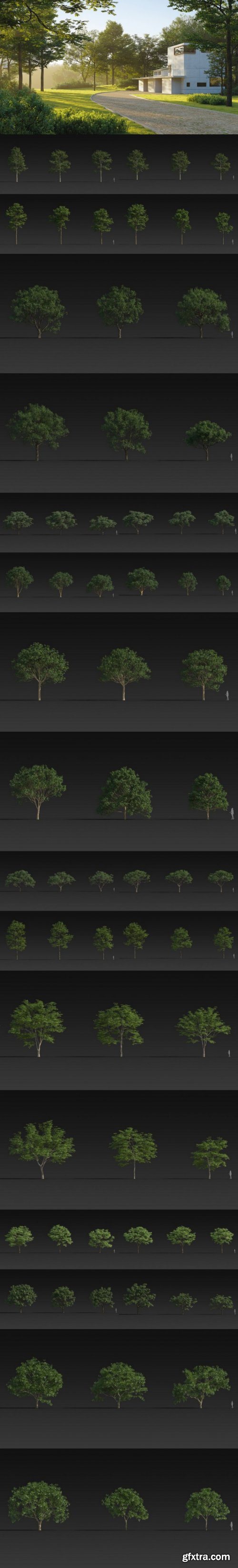 MaxTree - Plant Models Vol 30