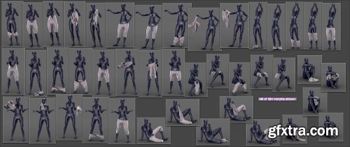  Everyday 2 Daily Poses and Clothes Vol.3 for Genesis 8 Females 