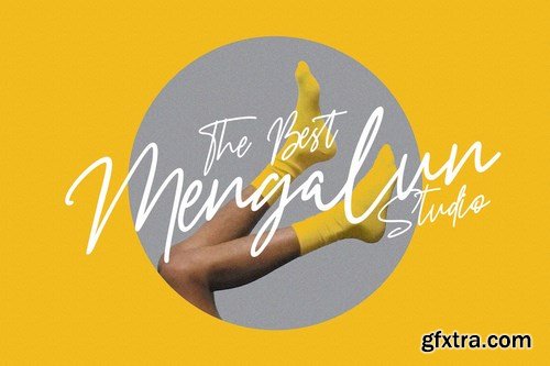 Nicestrips Fancy Script Font