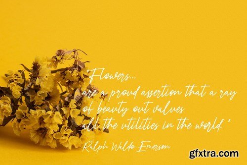 Nicestrips Fancy Script Font