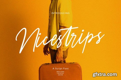 Nicestrips Fancy Script Font