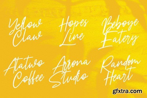 Nicestrips Fancy Script Font