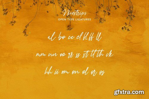 Nicestrips Fancy Script Font