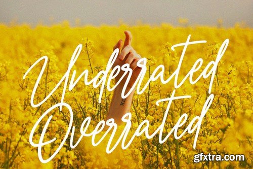 Nicestrips Fancy Script Font