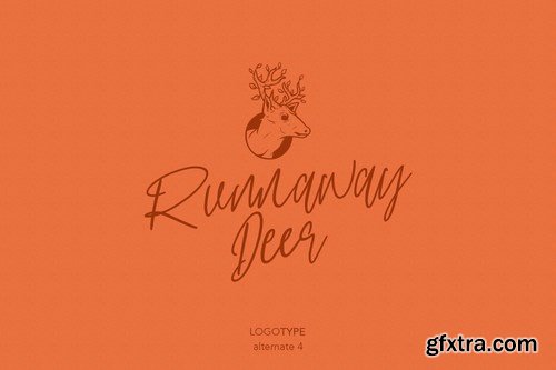 Mashpoints Handwritten Script Font