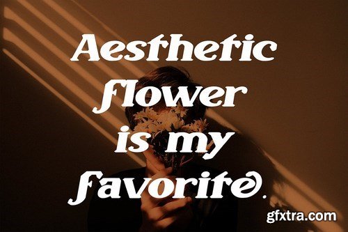 Sulfone - Modern And Elegant Serif Font