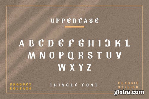Tingle Modern Classy Font
