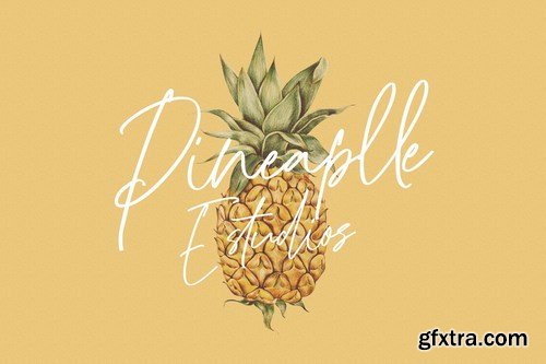 Wollyroots Signature Script Font