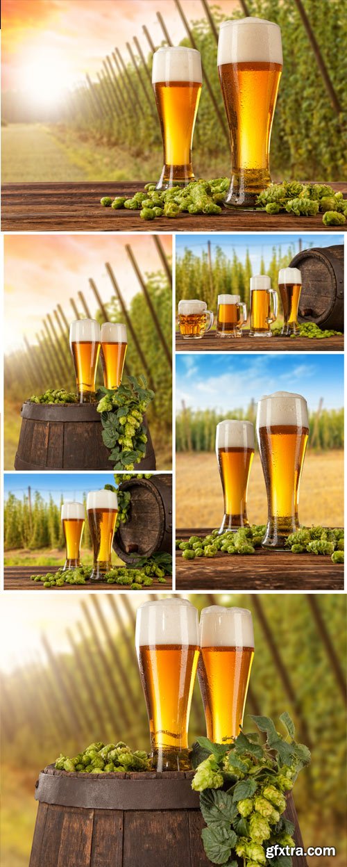 Glasses with beer on a barrel, branches of hops stock photo Glasses with beer on a barrel, branches of hops stock photo