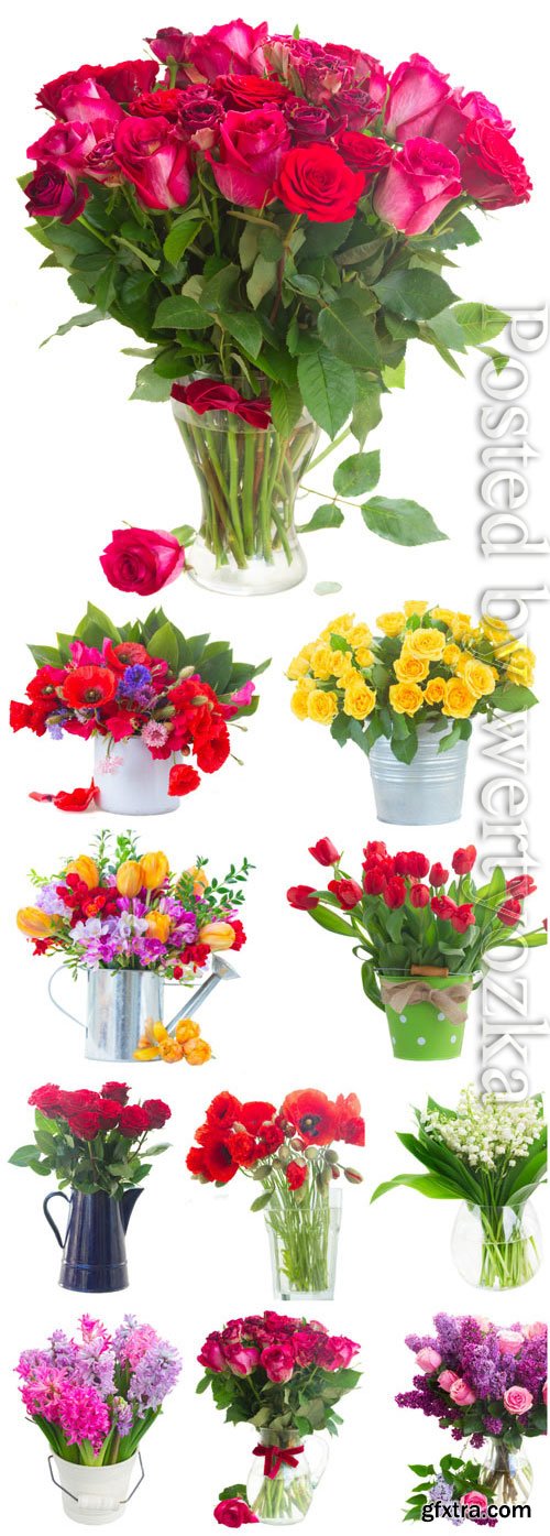 Beautiful Bouquets, Roses, Tulips, Poppies 11xJPG