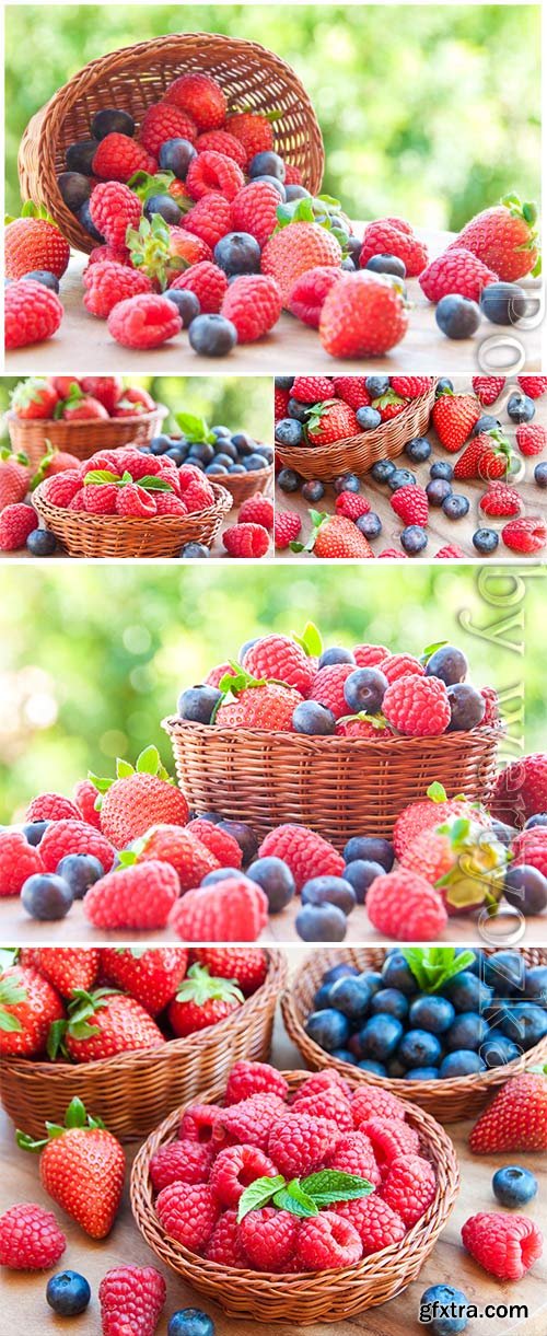 Basket with raspberries and blueberries stock photo Basket with raspberries and blueberries stock photo