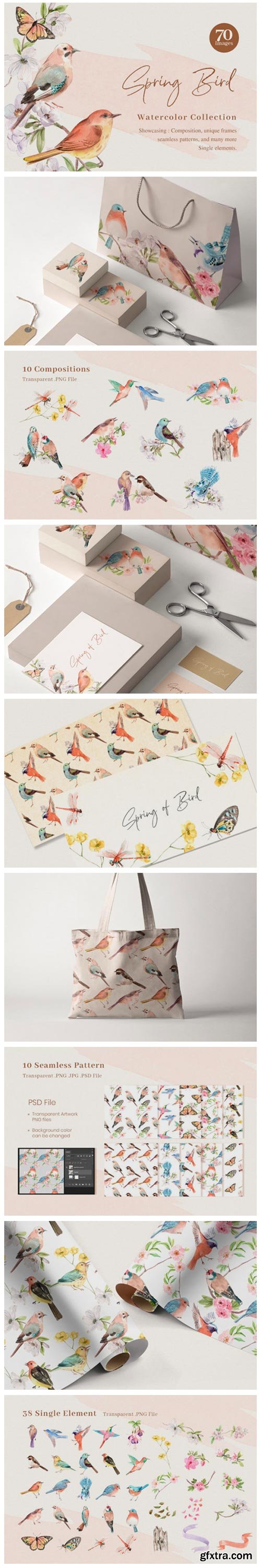 Spring Birds of Spring Watercolor 11459912