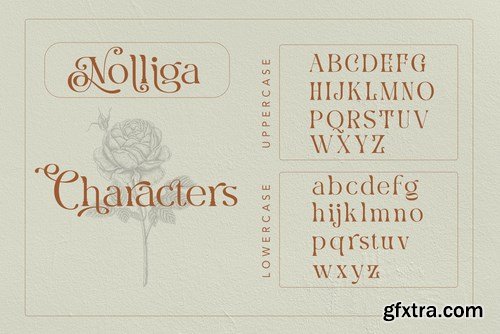 Nolliga Typeface