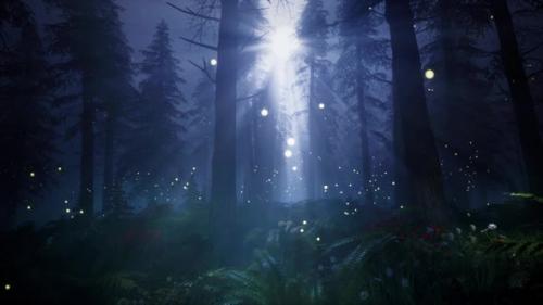 Videohive - Moonlight in a magical forest HD - 32321256 - 32321256