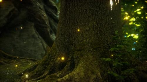 Videohive - Fantasy Firefly Lights in the Magical Forest - 32339289 - 32339289