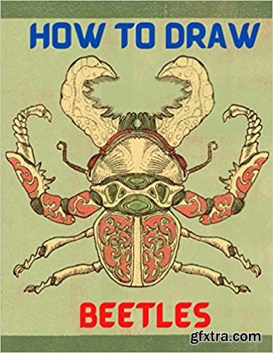 How To Draw Beetles