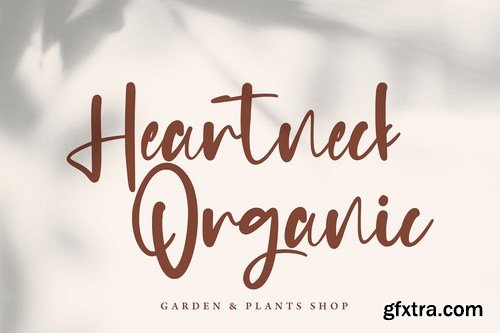 Majorette - Elegant Calligraphy Font