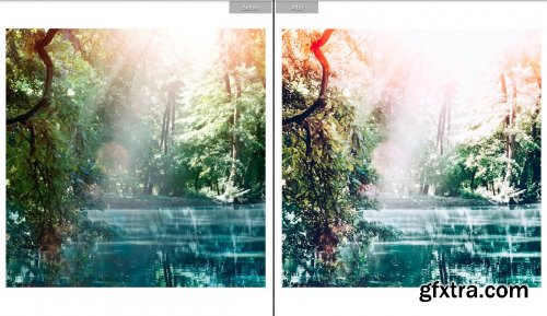 CreativeMarket - BRIGHT SUMMERS MOBILE LR PRESET 5931683
