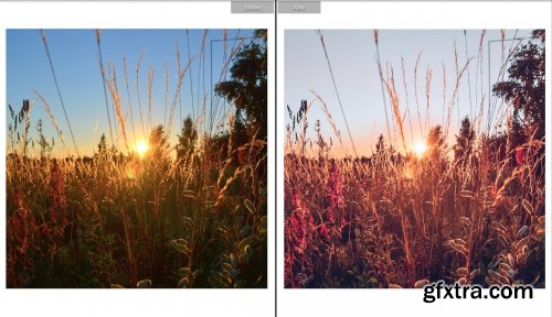 CreativeMarket - BRIGHT SUMMERS MOBILE LR PRESET 5931683