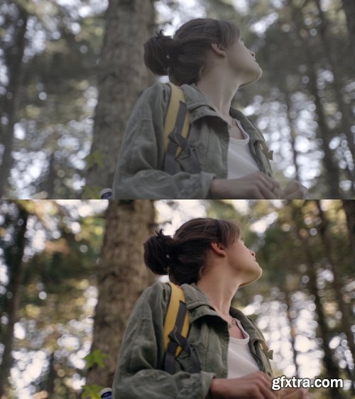 CreativeMarket - 10 Cinematic Slog-2 Luts 5525741