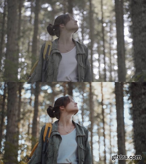 CreativeMarket - 10 Cinematic Slog-2 Luts 5525741