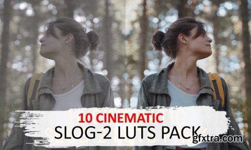 CreativeMarket - 10 Cinematic Slog-2 Luts 5525741