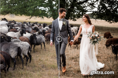 KCP Preset Wedding Collection LRTemplate