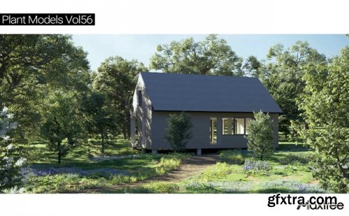 Maxtree – Plant Models Vol 56