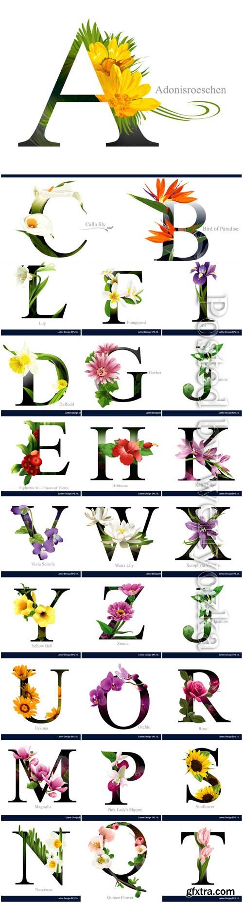 Alphabet with various flowers in vector Alphabet with various flowers in vector