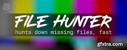 File Hunter 1.0.4 for After Effects Win/Mac