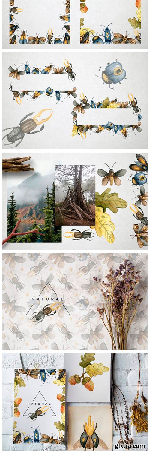 Butterflies and Bugs Watercolor Set 8051807 Butterflies and Bugs Watercolor Set 8051807