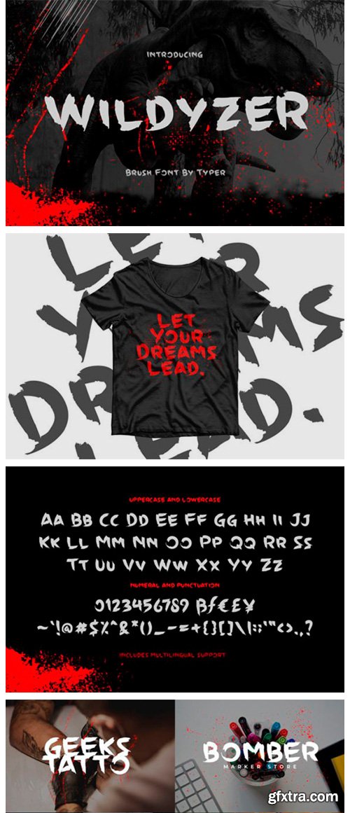 Wildyzer Font Wildyzer Font