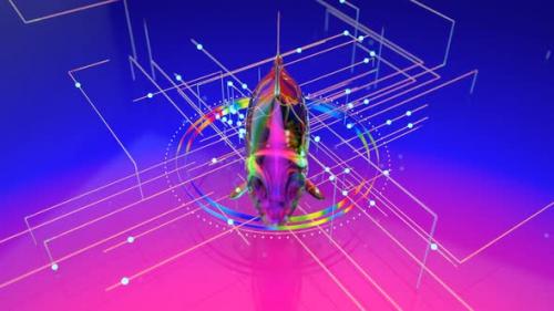 Videohive - 3D Abstract art of a Fish in the blockchain - 32553546 - 32553546