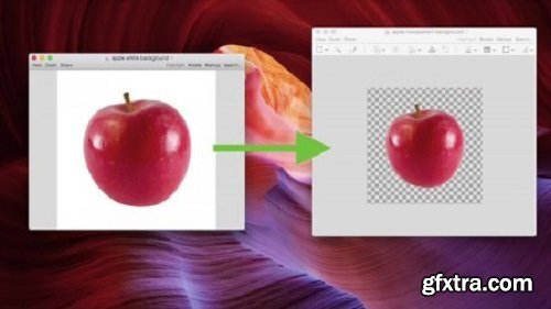 JPG to PNG: Image Background Removal Made Easy