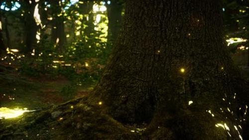 Videohive - Fantasy Firefly Lights in the Magical Forest - 32550818 - 32550818