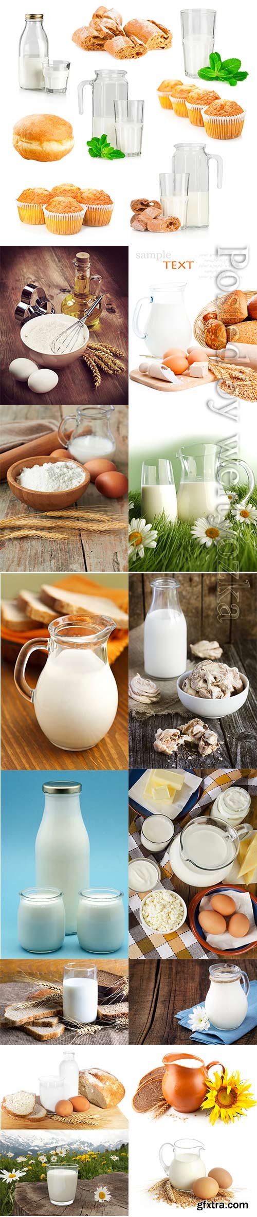 Milk and dairy products stock photo Milk and dairy products stock photo