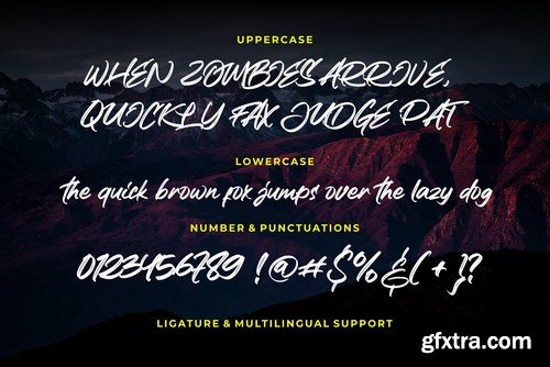 Realistic Theory - Powerful Brush Font