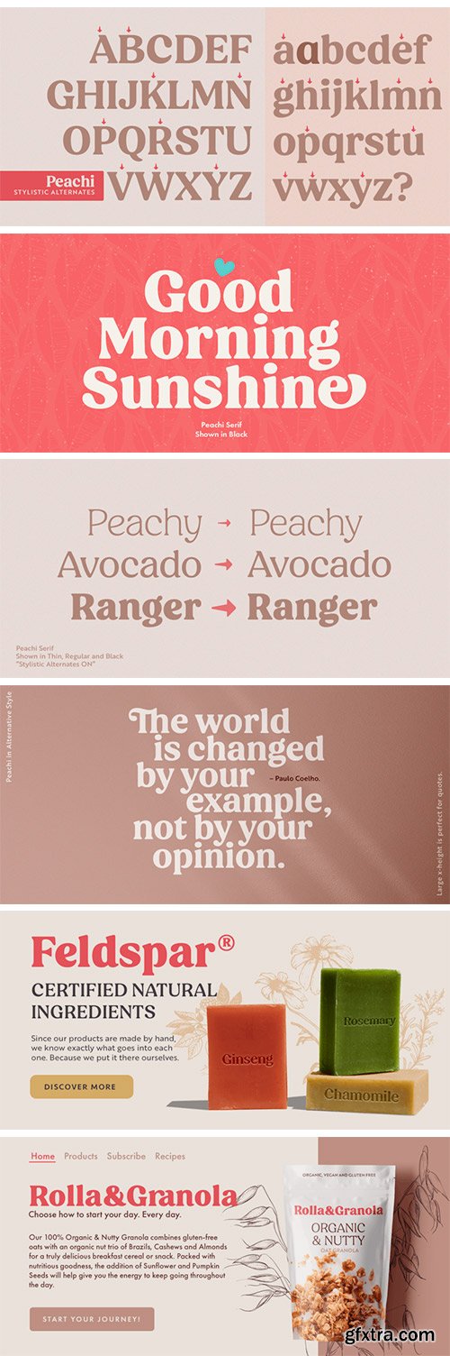 Peachi Font Family Peachi Font Family