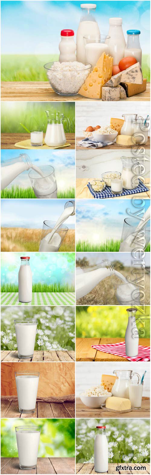 Milk and cheese stock photo Milk and cheese stock photo