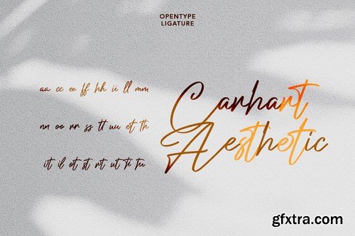 Jolleylung Signature Font