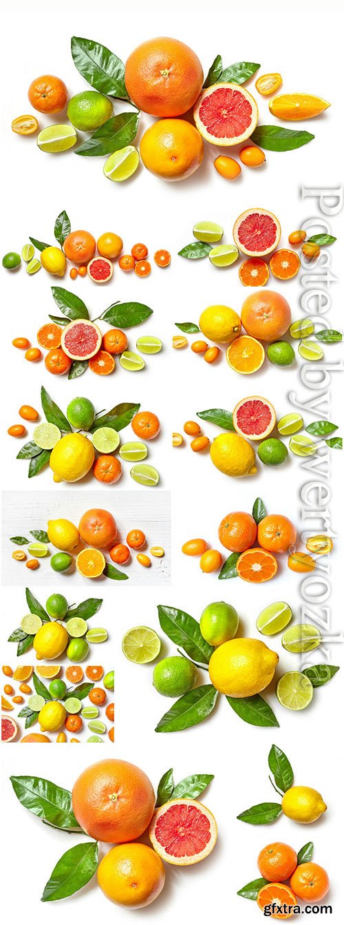 Oranges tangerines and lemons stock photo Oranges tangerines and lemons stock photo