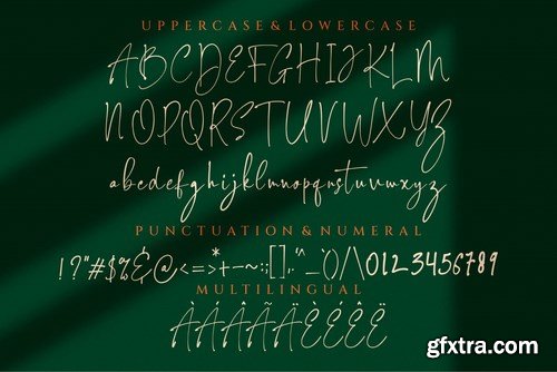 Roberto - Duo Typeface