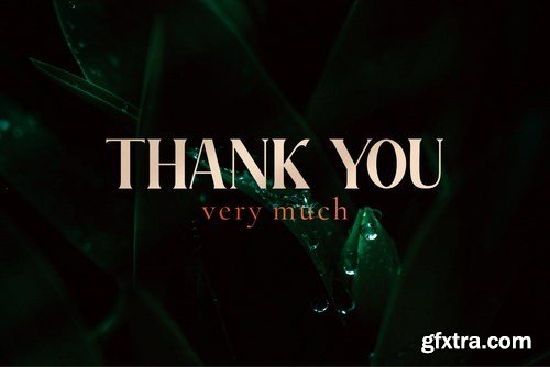 Roberto - Duo Typeface