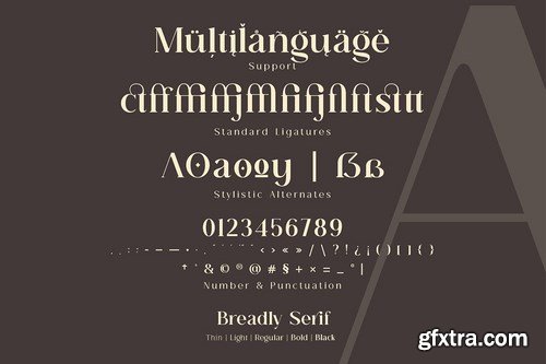 CM - Breadley Serif 6092633 CM - Breadley Serif 6092633