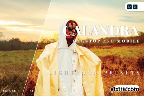 Calandra Desktop and Mobile Lightroom Preset