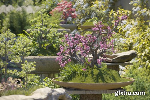 Maxtree – Plant Models Vol.78