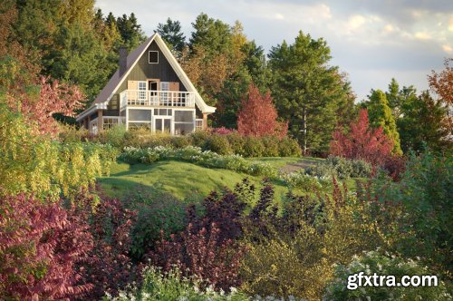 Maxtree - Plant Models Vol. 81