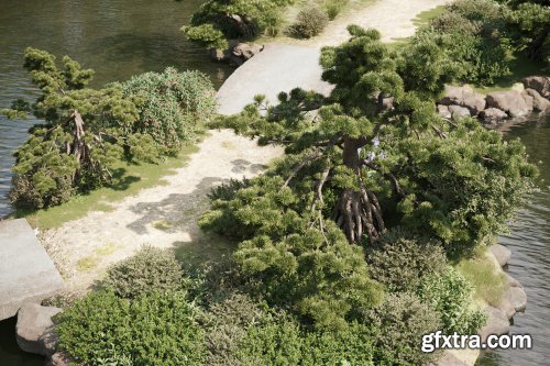 Maxtree – Plant Models Vol.55